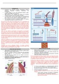 Gram-Negative Infections