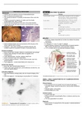 Protozoal And Helminthic Infections