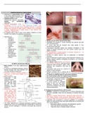 Staphylococcus and Staphylococcal Infections