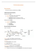 Notizen Informationssysteme (Nerven- und Hormonsystem)