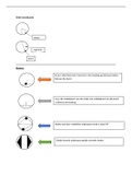 Summary  Mathematics