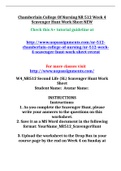 Chamberlain College Of Nursing NR 512 Week 4 Scavenger Hunt Work Sheet NEW