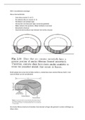 Samenvatting anatomie periode 1.3 fysiotherapie kennistoets (KT)