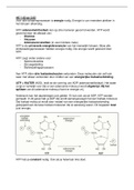 SAMENVATTING HOORCOLLEGES BAS 5 EN DE BEWEEGINTERVENTIES 