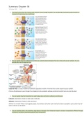 Ls6 Plantbiology Campbell Chapter 36