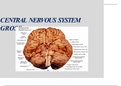 CENTRAL NERVOUS SYSTEM functional areas Lecture notes ANATOMY  Essentials of Human Anatomy & Physiology, Global Edition, ISBN: 9781292075211