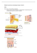 Optometrie/orthoptie leerjaar 1