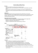 Samenvatting Auditing Theory - juni 2022