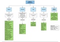 Mapa resumen de egresos hospitalarios