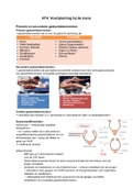 samenvatting HT4 voortplanting bij de mens. Biogenie 5.2/6.2