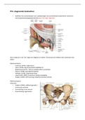 Samenvatting FH 1.4 fysiotherapie 