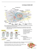 Celbiologie samenvatting COURSE 5, BLOK 2