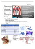 Cytologie samenvatting COURSE 6