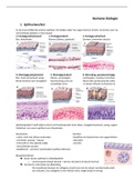 Humane biologie samenvatting COURSE 6