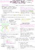 Proteins and Enzymes IB DP