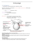 samenvatting van Genetica en Embryologie van de 1e bach biomedische wetenschappen