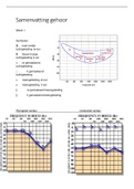 Samenvatting behandeling gehoor logopedie jaar 2 