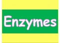 Revision Powerpoint on Enzymes OCR A level 2015