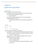 Chapter 5 - Equity and social welfare