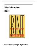 Boekverslag Nederlands Bint