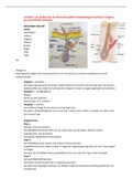 Samenvatting Blok 1.3: Beharing   Huidtherapie - De Haagse Hogeschool