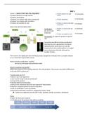 Downstream processing 1 (DSP1) summary COURSE 8