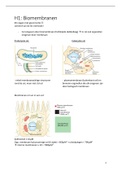 Samenvatting Celbiologie VOLLEDIG (T. Voets)