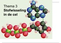 PowerPoint+ aantekeningen thema 3 Stofwisseling Biologievoorjou VWO 5 Deel 2