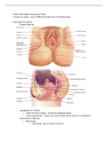 Summary NURS 306 Health Assessment Final