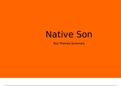 Native Son Theme Summaries