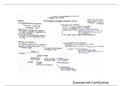 Schema's verbintenissenrecht- Stijns