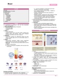 Blood Histology