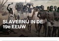 geschiedenis hoofdstuk 6 vrijheid en gelijkheid 2 havo/vwo