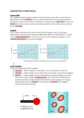 VWO 4 SAMENVATTING SCHEIKUNDE HOOFDSTUK 1 