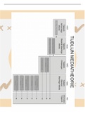 Media maatschappij: theorie | Samenvatting | cijfer 7,9