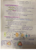 Earth System Notes