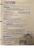 Chapter 2: Plate Tectonics 