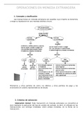 Operaciones en monedas extranjeras