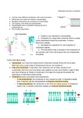 Membrane structure and synthesis