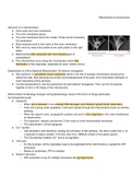 Summary of Mitochondria and peroxisomes