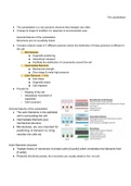 Summary of the cytoskeleton