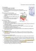 Summary of the endoplasmic reticulum and secretory pathways