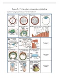 casus 5 embryonale ontwikkeling