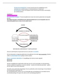 Macro economie - Marktscan : hoofdstuk 7 t/m 9