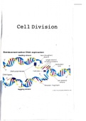 2.1.6 Cell Division