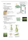 studeertips/samenvatting plantkunde H5