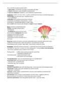 samenvatting biologie planten en stofwisseling vwo