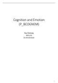Summary Cognition and Emotion P_BCOGNEM 2021/22