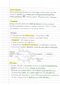 Cell structure part 2- AQA- AS