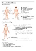 Introduction to Anatomy